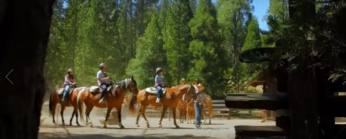 horseback ride Yosemite