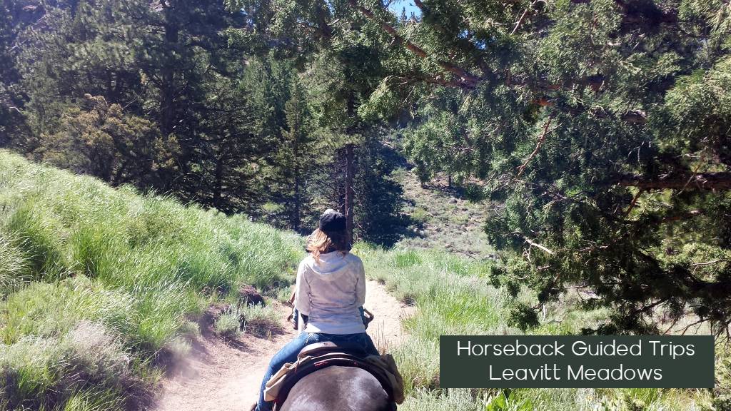 horseback riding in the mountains with the words horseback guide tips level mow
