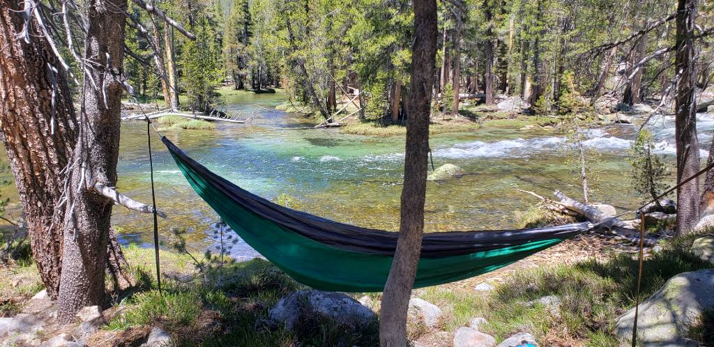 a hammock hanging in the woods near a river