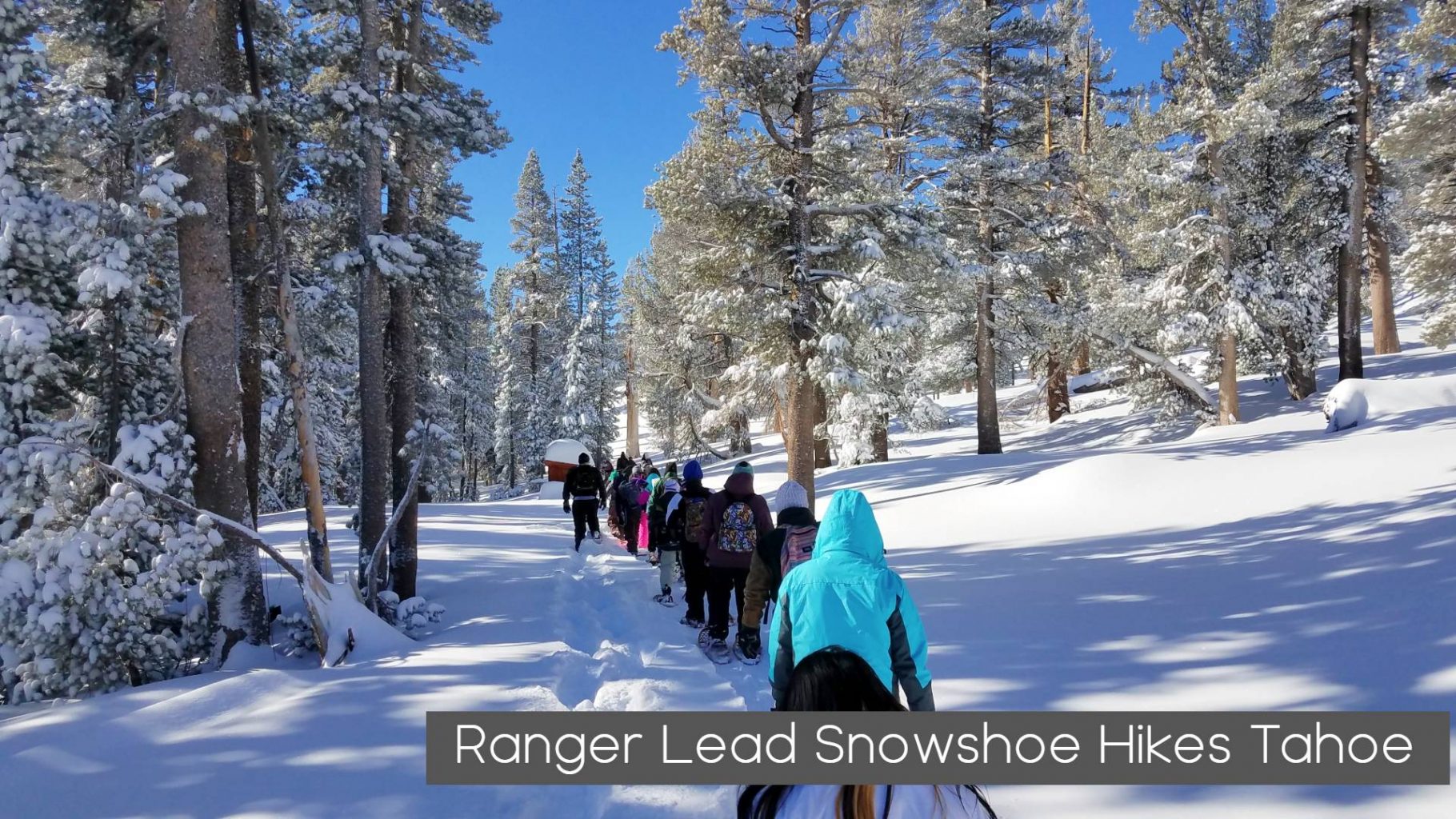 ranger lead snowshoe hikes taho