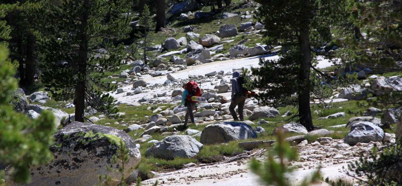 Backpackers Yosemite Lyell Canyon