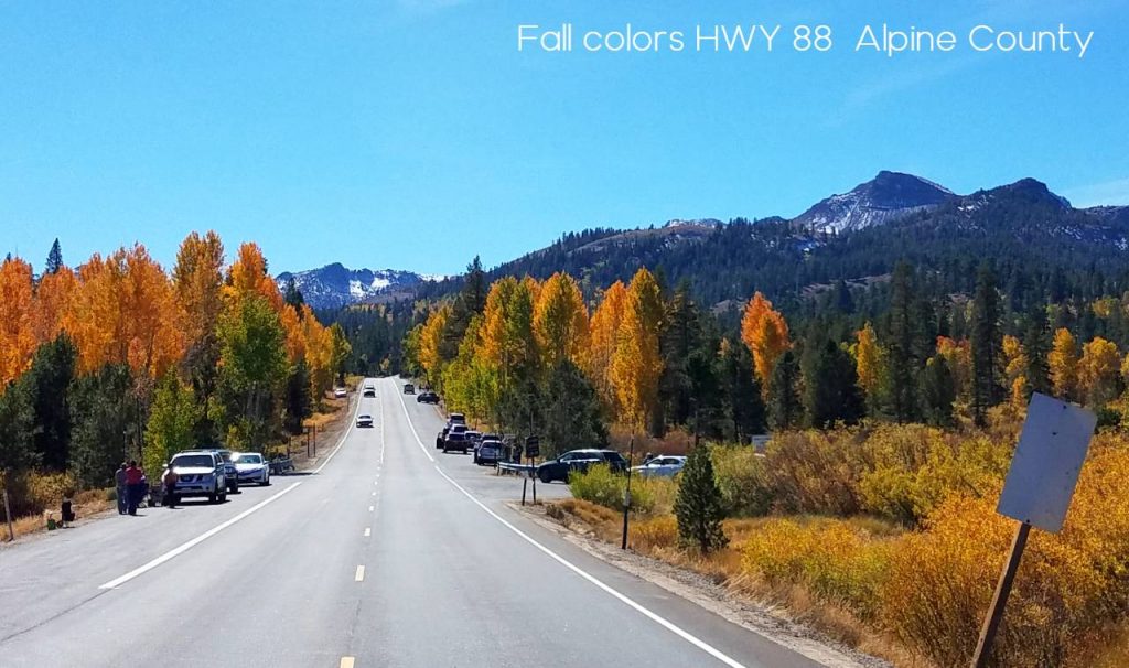 Fall color hwy 88 Alpine County