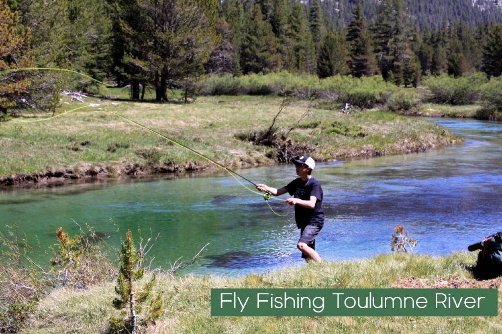 Fly Fishing Tuolumne Lyell Canyon