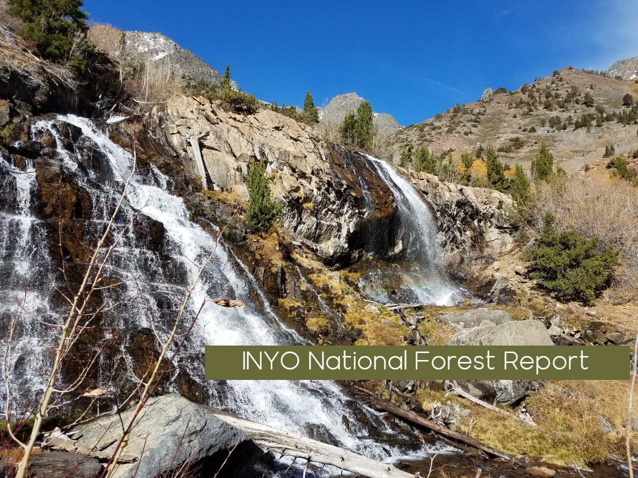 Inyo National Forest Lundy Canyon