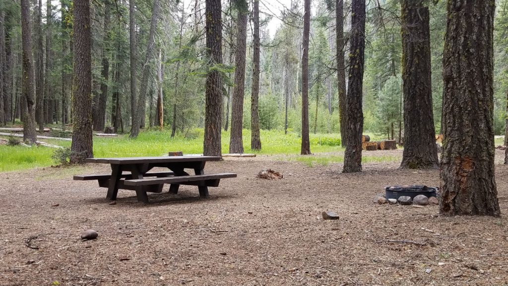 California Campground - Near Lassen Volcanic National Park