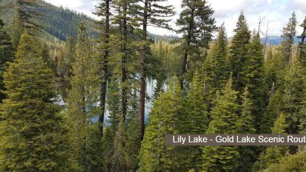 Lily lake Gold Lake HWY2017