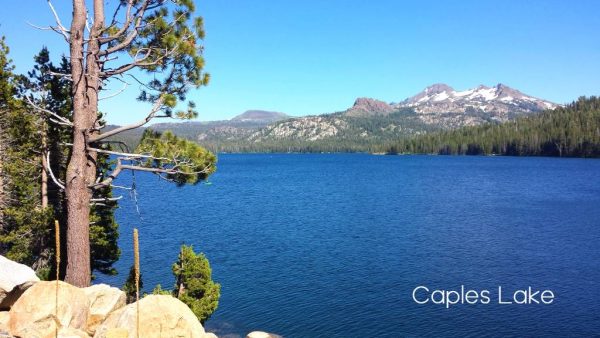 Caples lake 2016-07-03 16.22.16