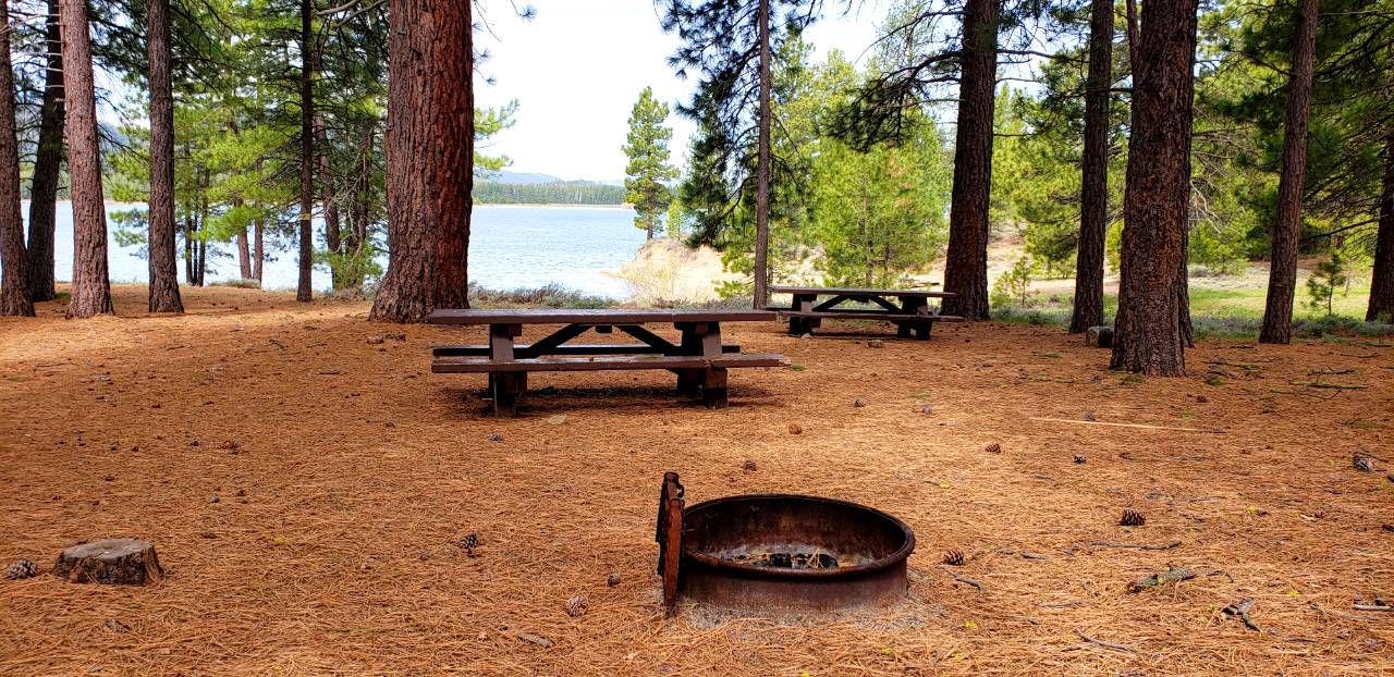 a picnic table and two benches in a forest