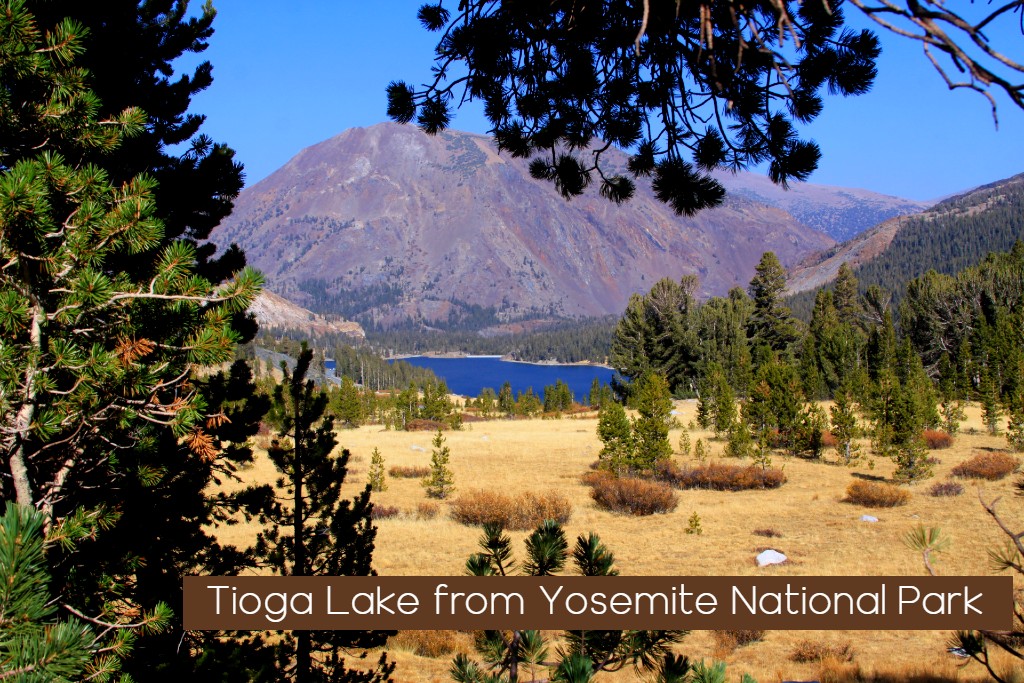 Camping Near Mono Lake - Inyo National Forest - Sierra REC Magazine
