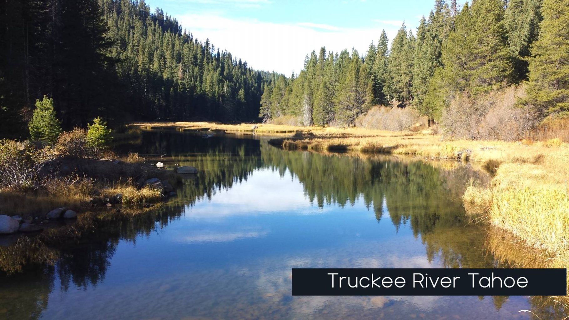 truck creek river totee