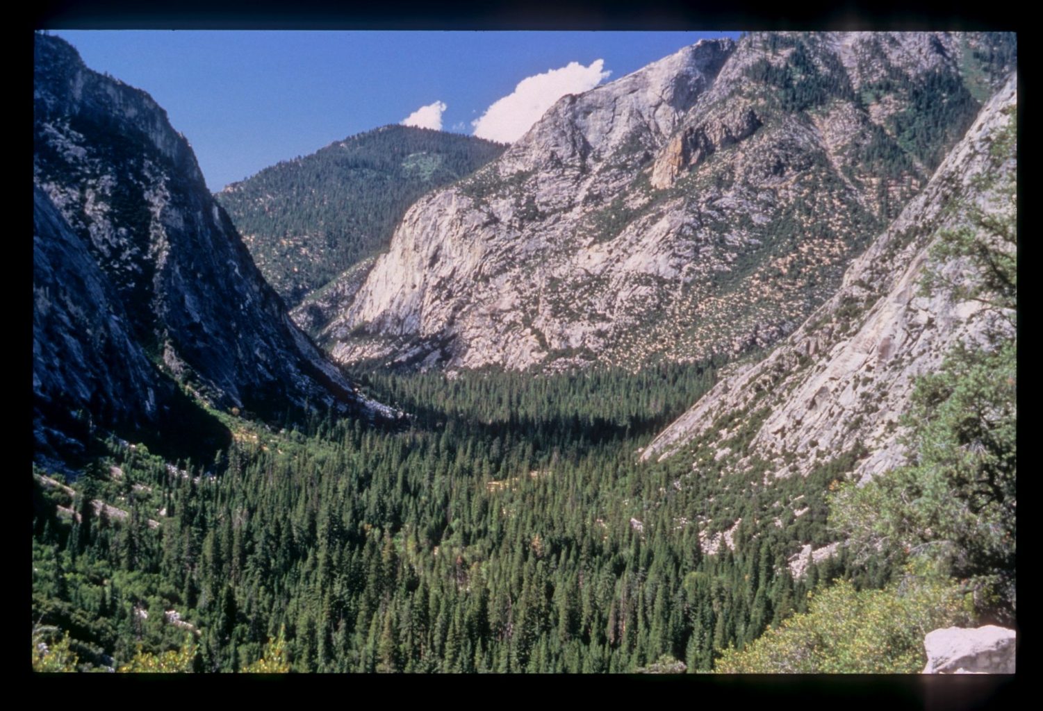 a view of the mountains and trees in the valley