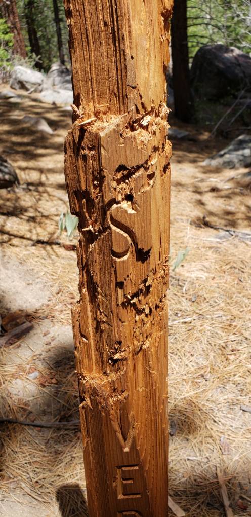 a wooden pole with a carved letter on it