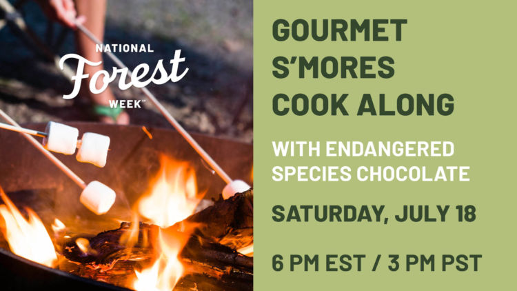 gourmet smores cook along with enhanced species chocolate