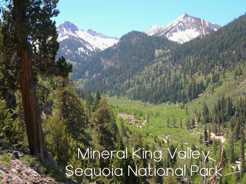 Mineral King valley sequoia national Park