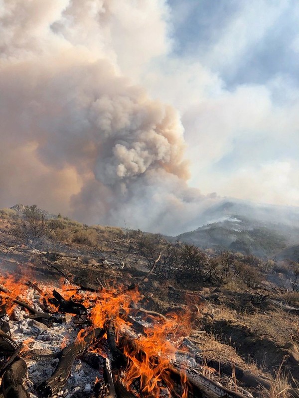 BLM california fire image