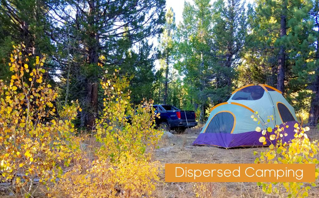 Alpine County dispersed Camping
