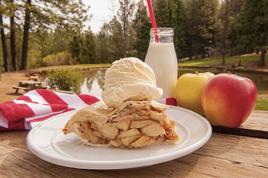 Traditional-Pie-Slice Apple hill website