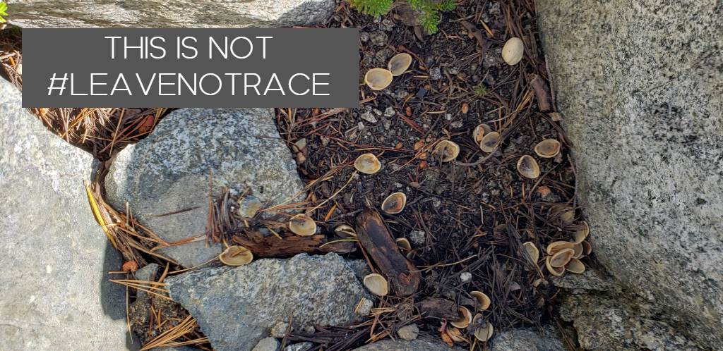 this is not leave not trace