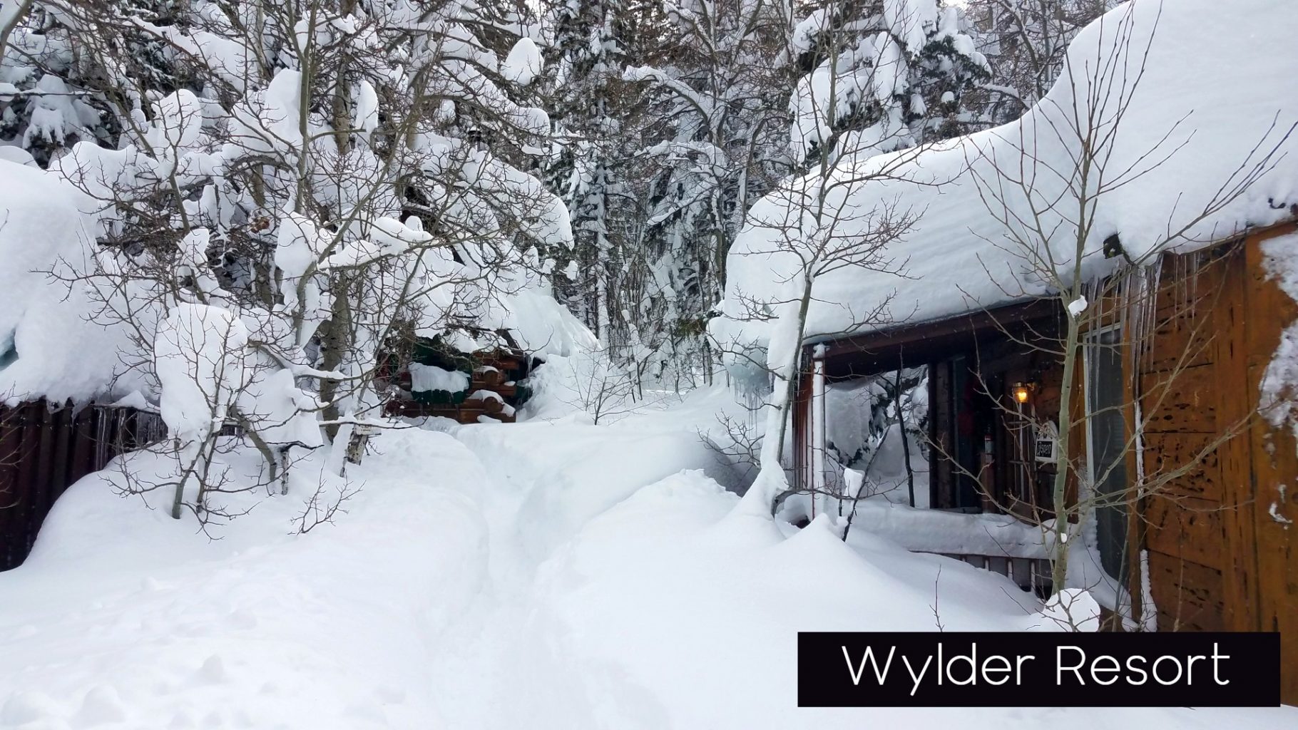 Wylder resort Winter image