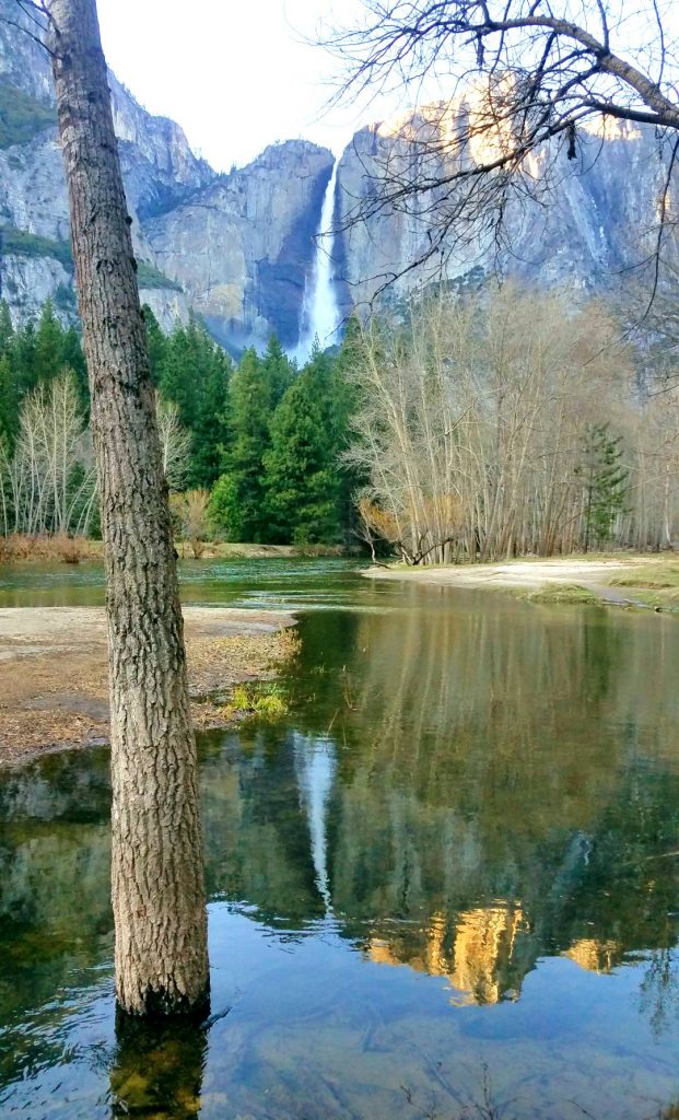 yosemite falls, yosemite national park, california, usa