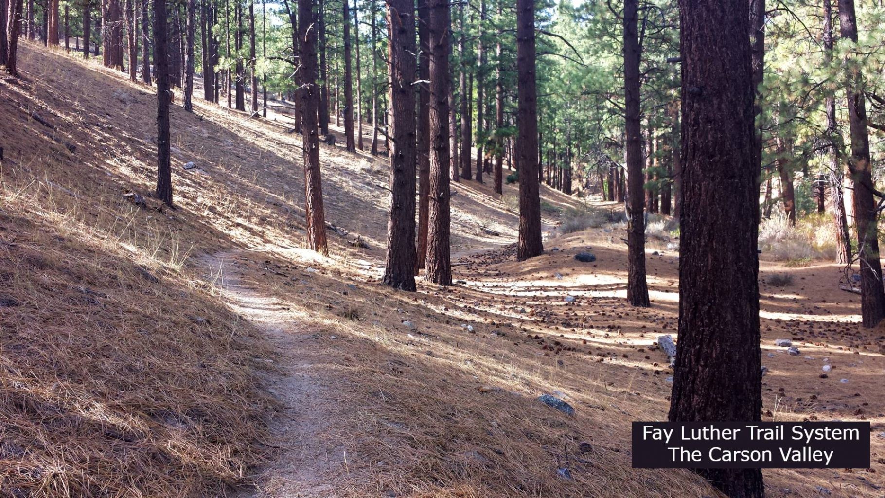 Fay Luther trail system