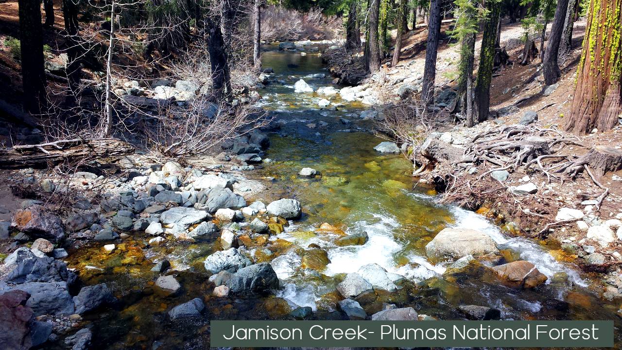 Jamison Creek