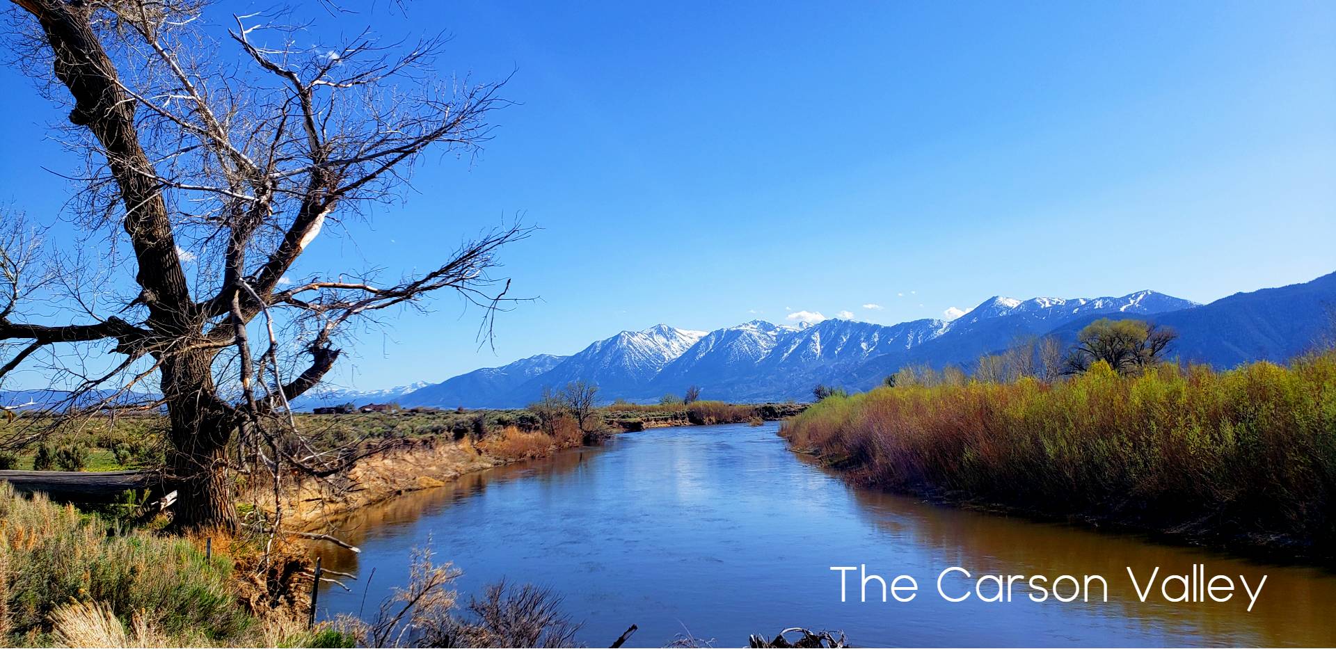 Explore The Carson Valley