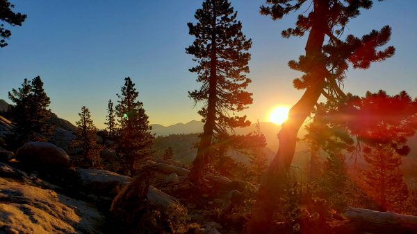 Sunrise in Yosemite National Park2021-07-03 06.02.32