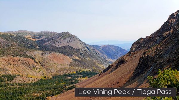 View of Lee Vining Peak from Gardisky Lake