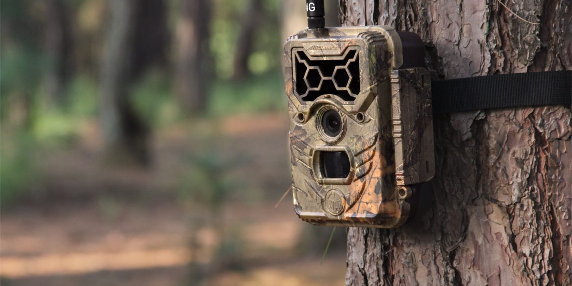 Trail Camera strapped on Tree