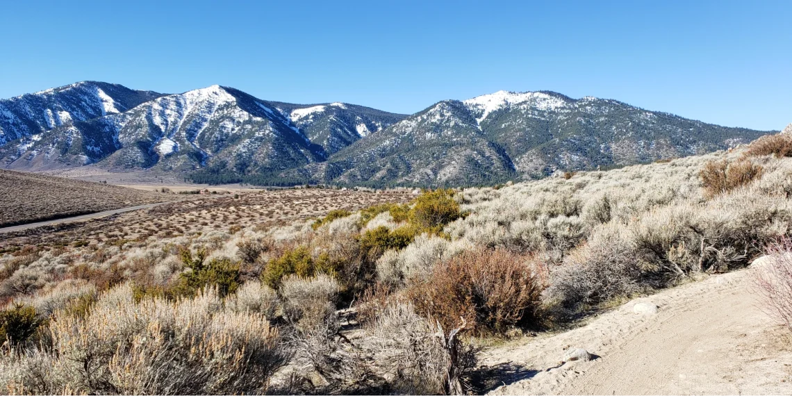 desert trail mountain backdrop