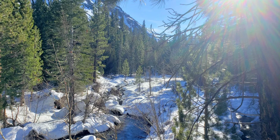 Silver creek with Snow