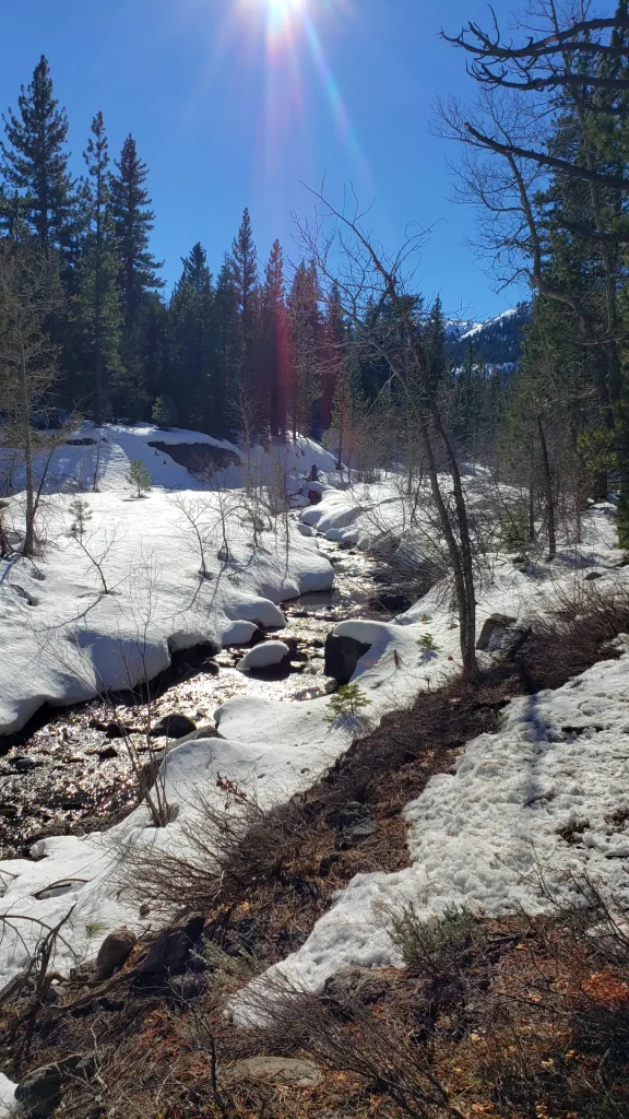 Silver Creek with snow