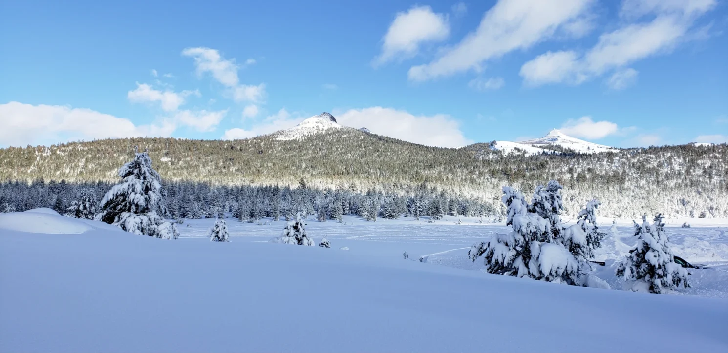 Winter Scene Sierra Nevada
