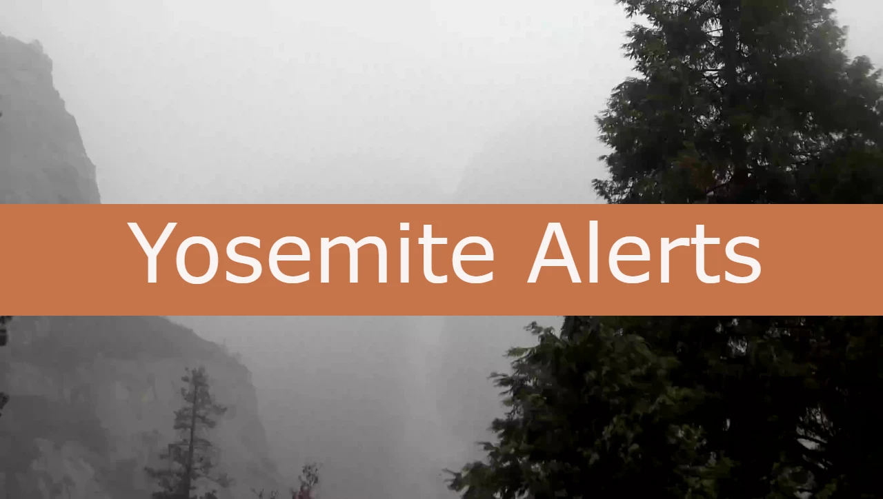 Yosemite Alerts poster foggy trees