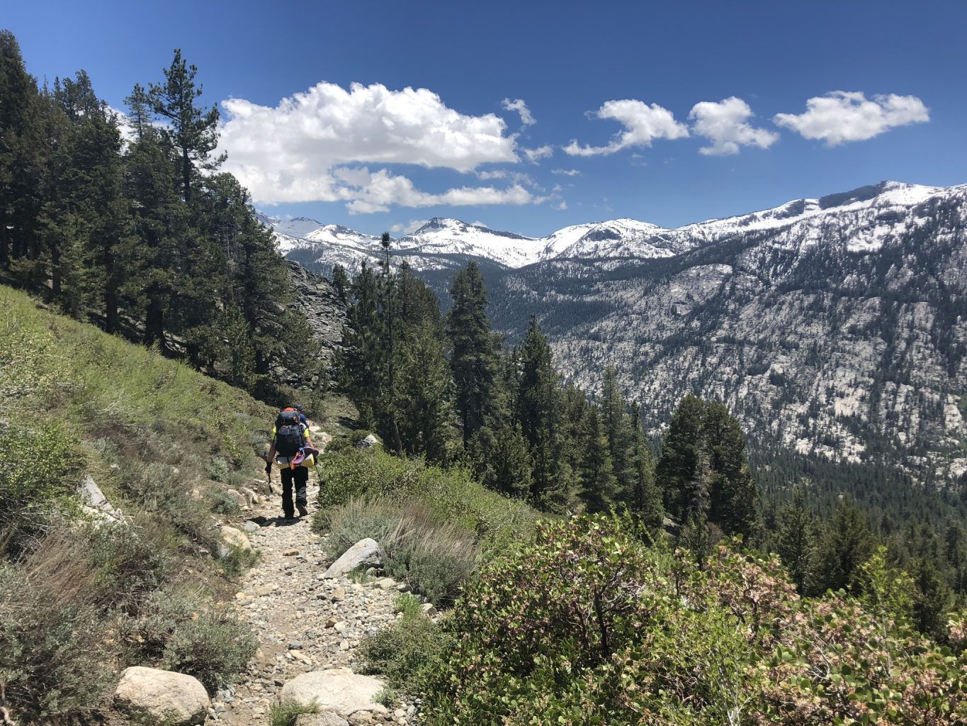 Backpackers on trail in Sierra