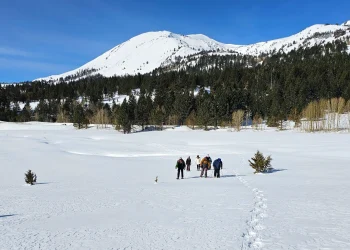 Snowshoe crew heads out from Carson Pass highway