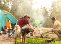 6 Tips for Taking Your Dog on a Weekend Camping Trip