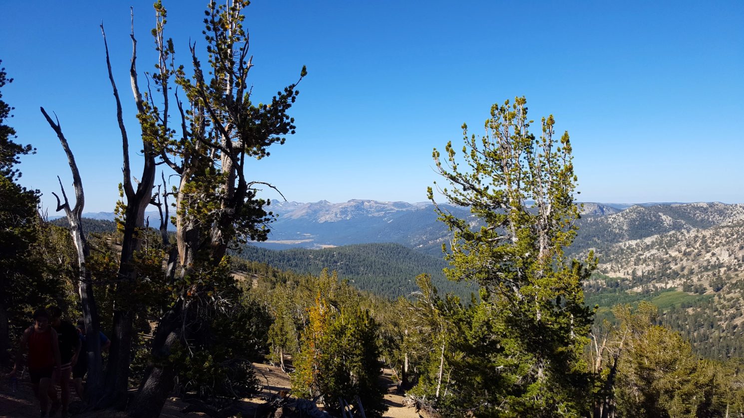 Views from Freel - Jobs Peak trail