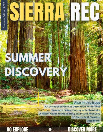 Summer 2023 Issue Cover sierra Rec magazine - big trees