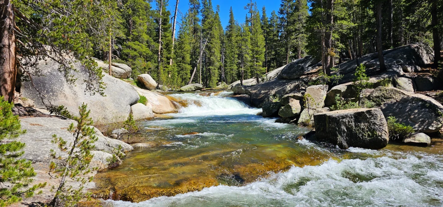 Dana Fork Tuolumne River Yosemite