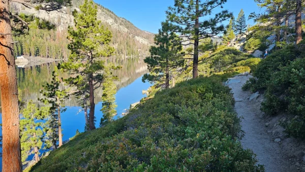 Trail by Echo Lake California