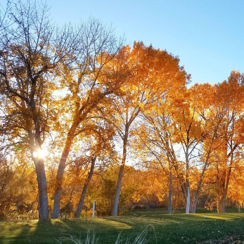 Fall Colors golf Course