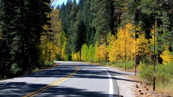 Fall colors highway 49 yuba