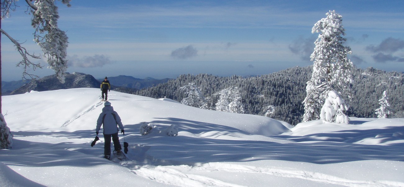 a person is standing on a snow covered hill