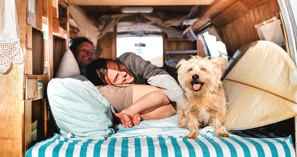 RV Bed with dog and couple