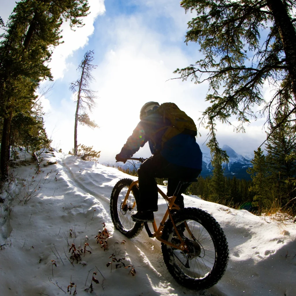 Winter Biker on trail